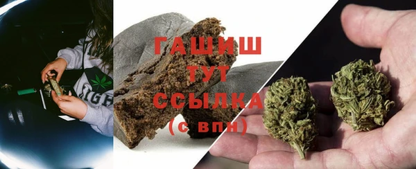 ГАЛЛЮЦИНОГЕННЫЕ ГРИБЫ Алзамай