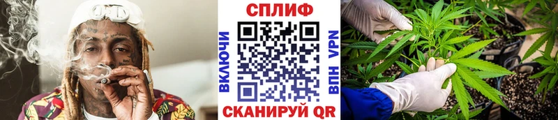 Каннабис MAZAR  Дмитровск 